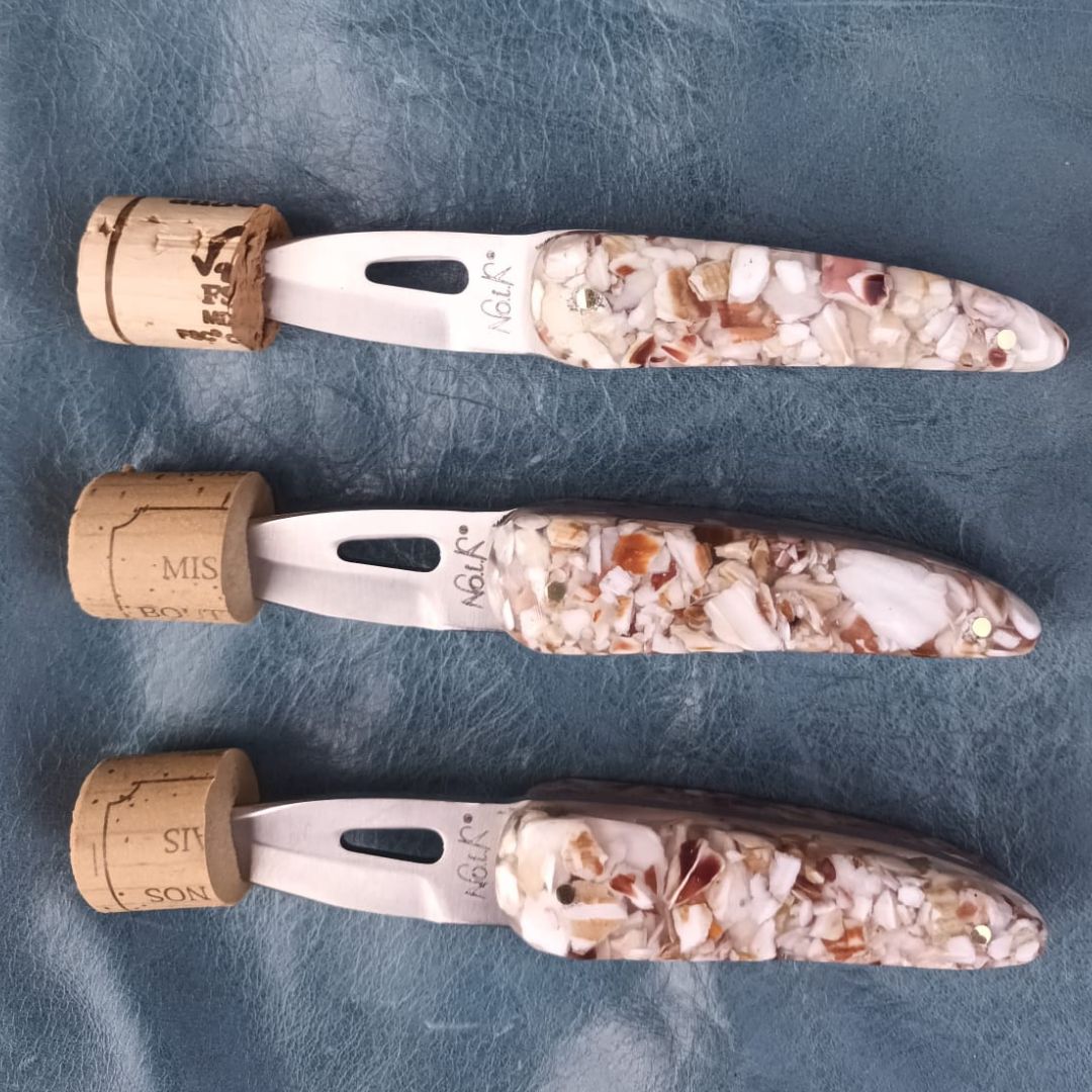 Couteau à huîtres avec manche en résine